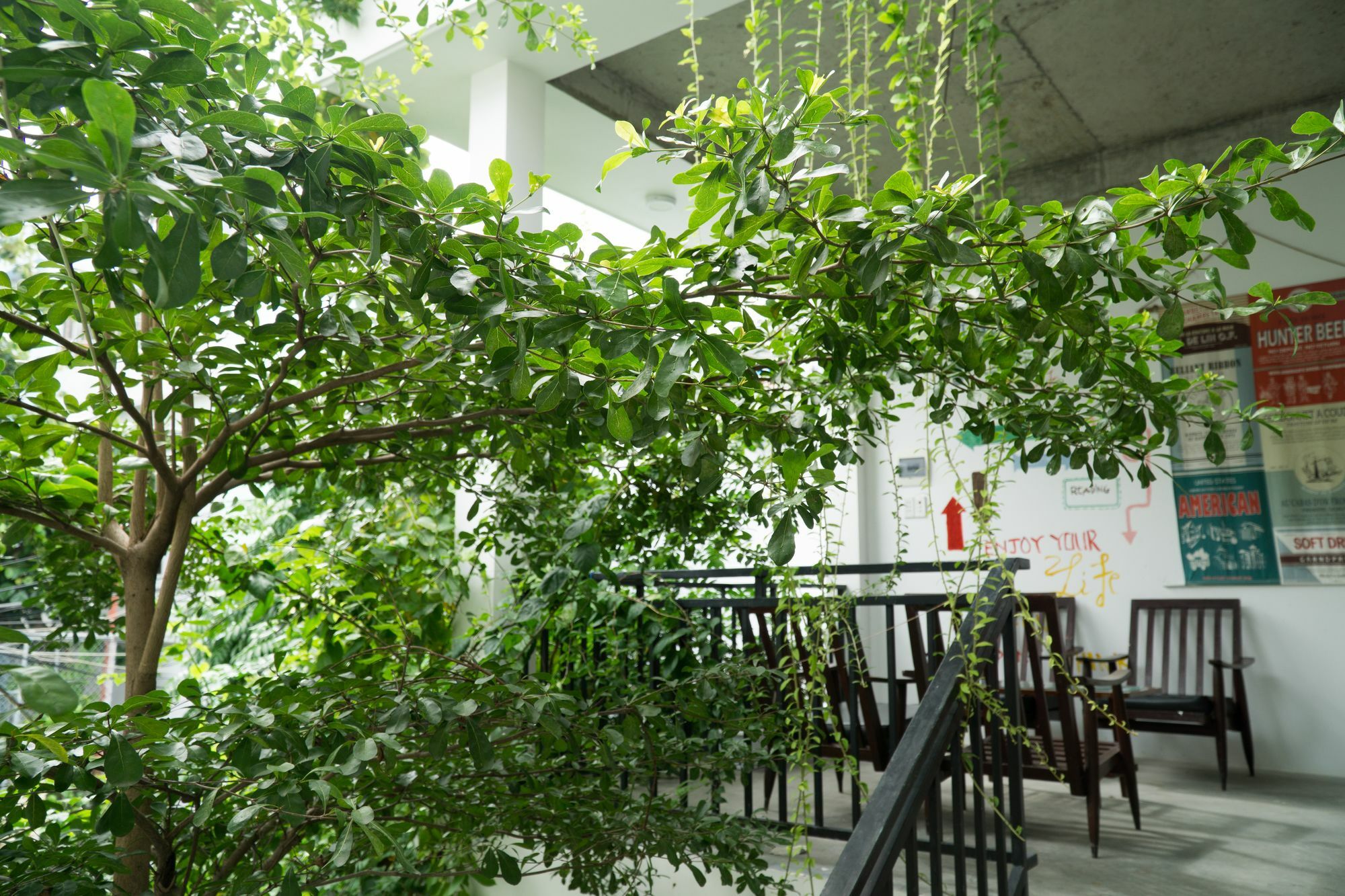 Kiu House - 3Br - Green & Artistic Da Nang Eksteriør billede