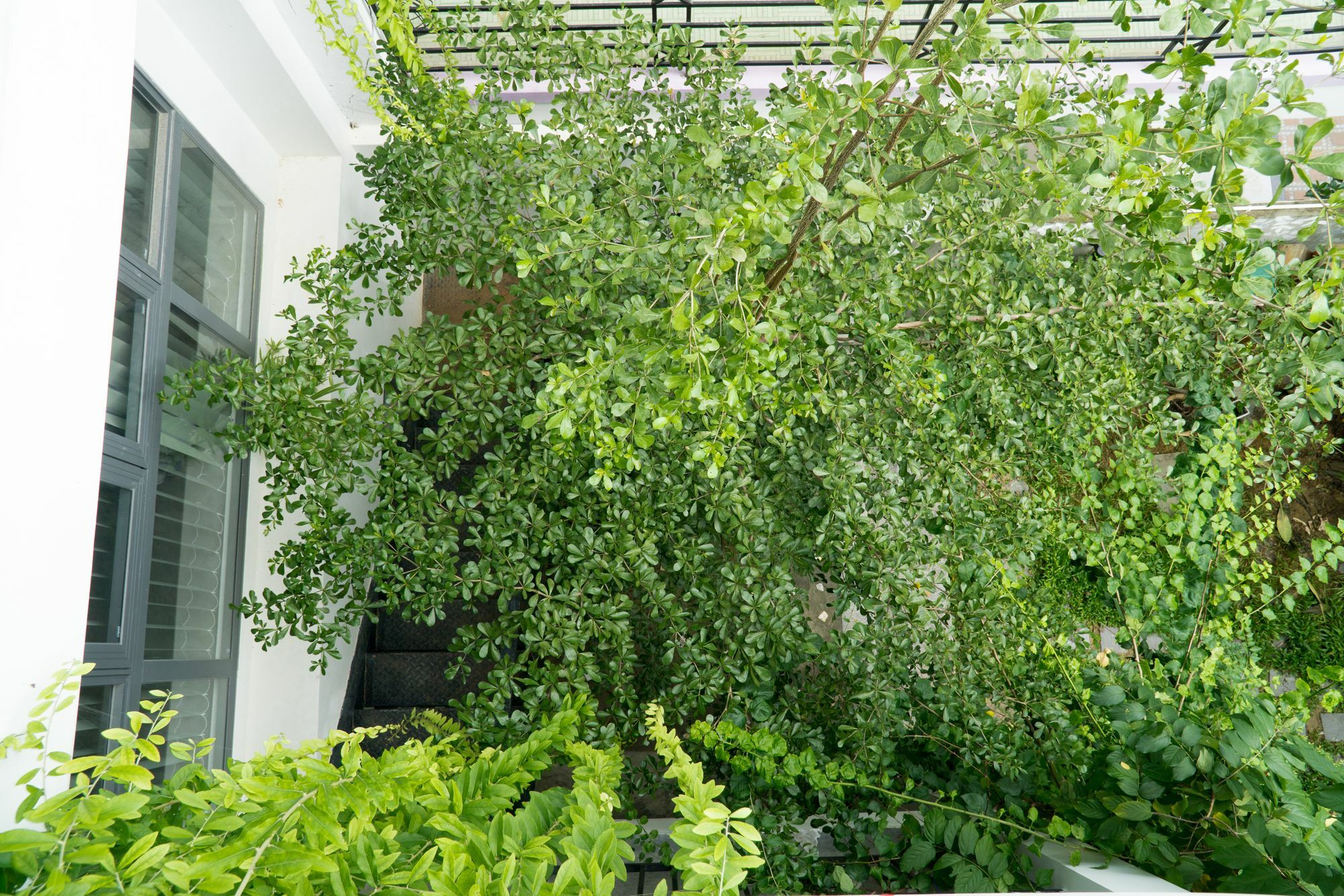 Kiu House - 3Br - Green & Artistic Da Nang Eksteriør billede